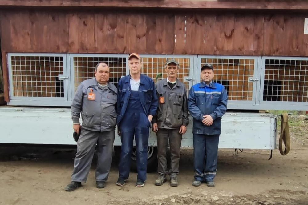 ЛМЗ помогает приюту для животных